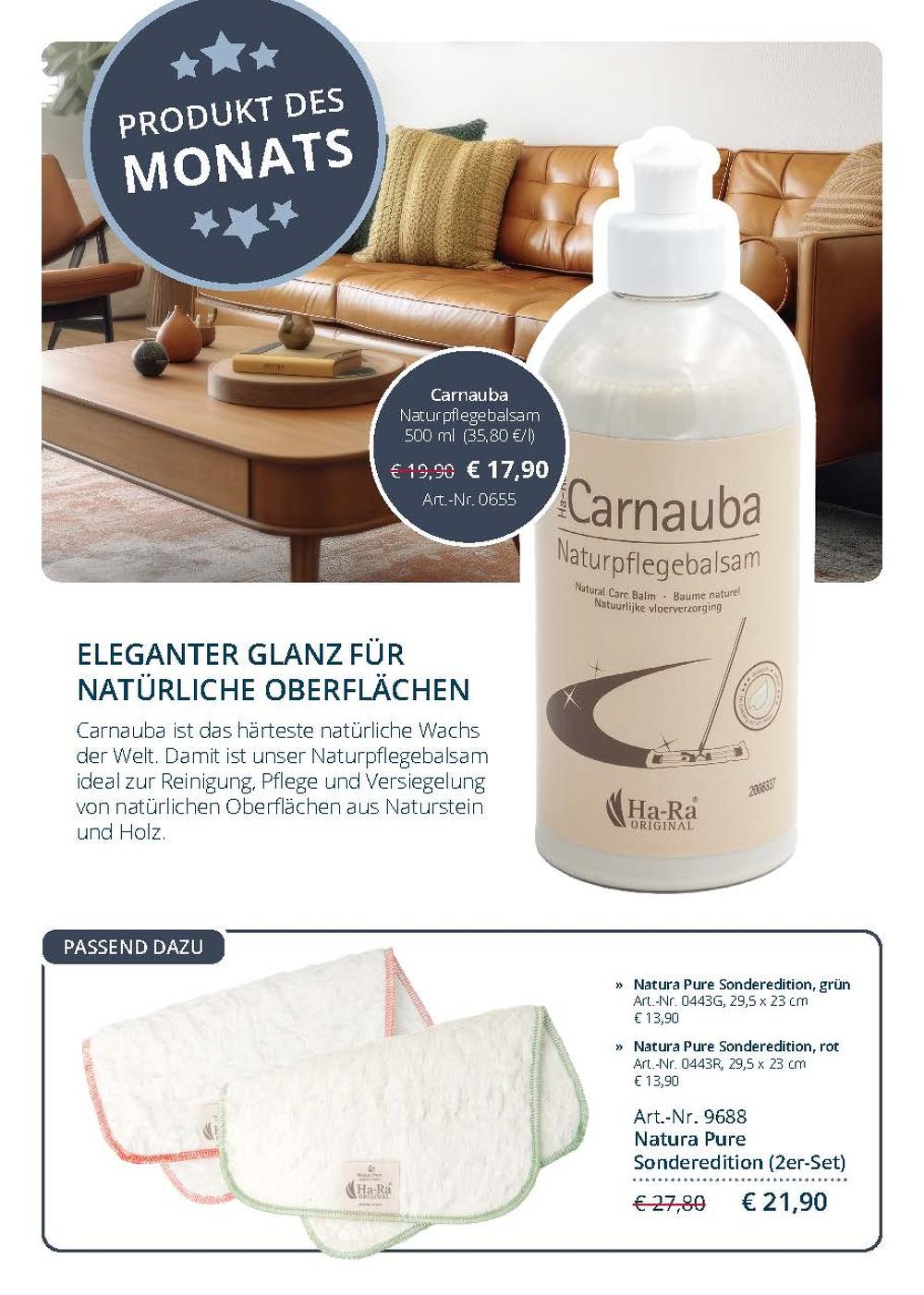 aktionsflyer_november_dezember seite 10